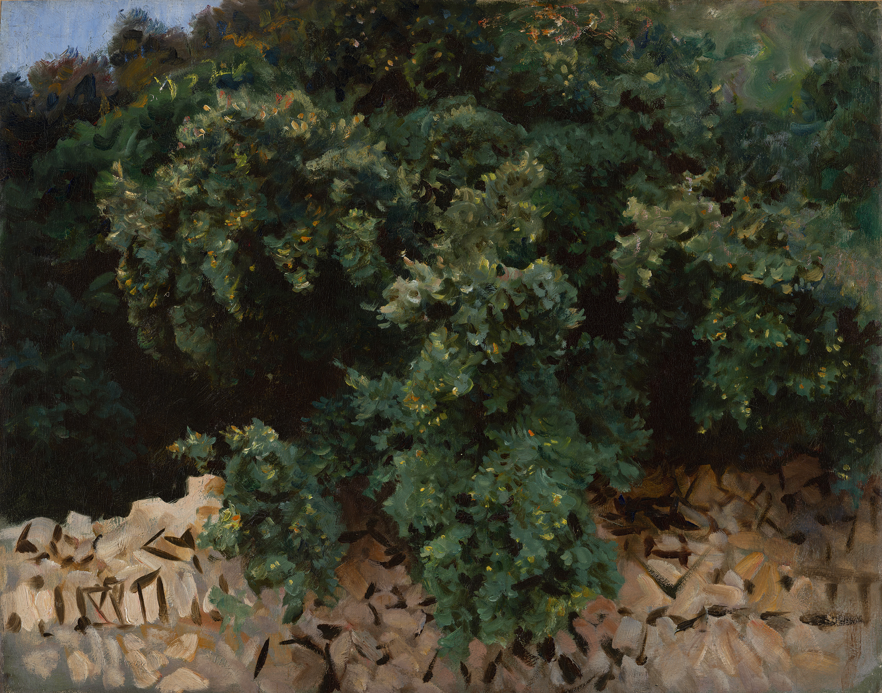 Ilex Wood. Majorca - Sargent, John Singer. Museo Nacional Thyssen